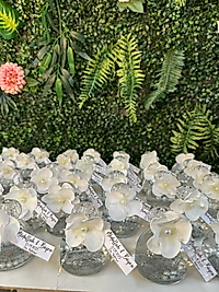 K-0223  50 mm cam şişe simli incili kolonyalar